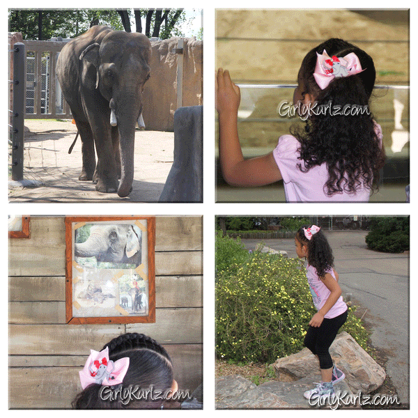 elephant hair bow ribbon sculpture